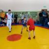 IMG-5856