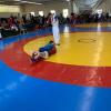IMG-5942
