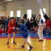 IMG-5948