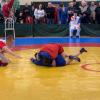 IMG-5951