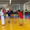 IMG-5962