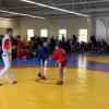 IMG-5965