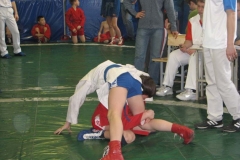 9103DABCAC76-29