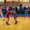 IMG-6181