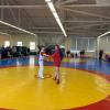 IMG-6193