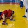 IMG-6915