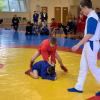 IMG-6919