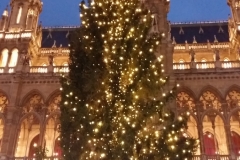 20171217_183251_1513628351216