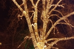 20171217_190943_1513628223509