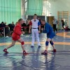 8ed38e27-f4cd-4c85-823f-4e1de3242ae8