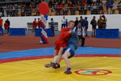 DSC06552