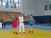 Германиада 2014
