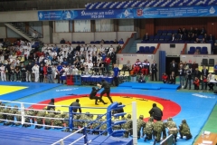 A33B8F9EBA54-138