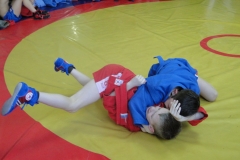 DSC01768