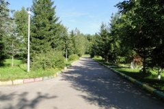 6785BCED6C09-20
