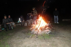 0D28AB9AD208-134