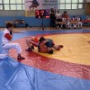 IMG_7951