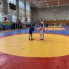IMG_7954
