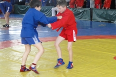 DSC03230
