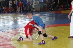 DSC03740