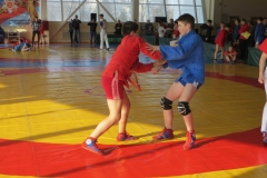 E__DCIM_145___03_IMG_0879