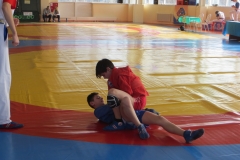 E__DCIM_145___03_IMG_0899