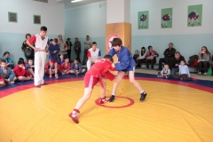 IMG_0641