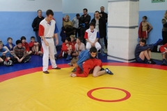 53DF53A9A6EA-116