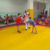 IMG_20240520_173325_1