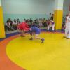 IMG_20240520_182504