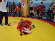 Первенство клуба 2013