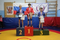 28CB09306896-148