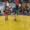 IMG_1474