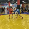 IMG_1484