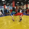 IMG_1504