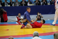7BD780BD07DD-178