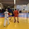 IMG-2305